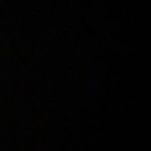 Meet your Posher, Shaina